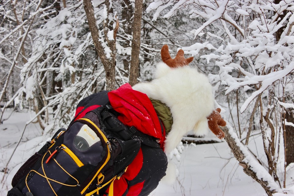 CF81C154-4D35-497E-AAF2-C21C96E8BB03