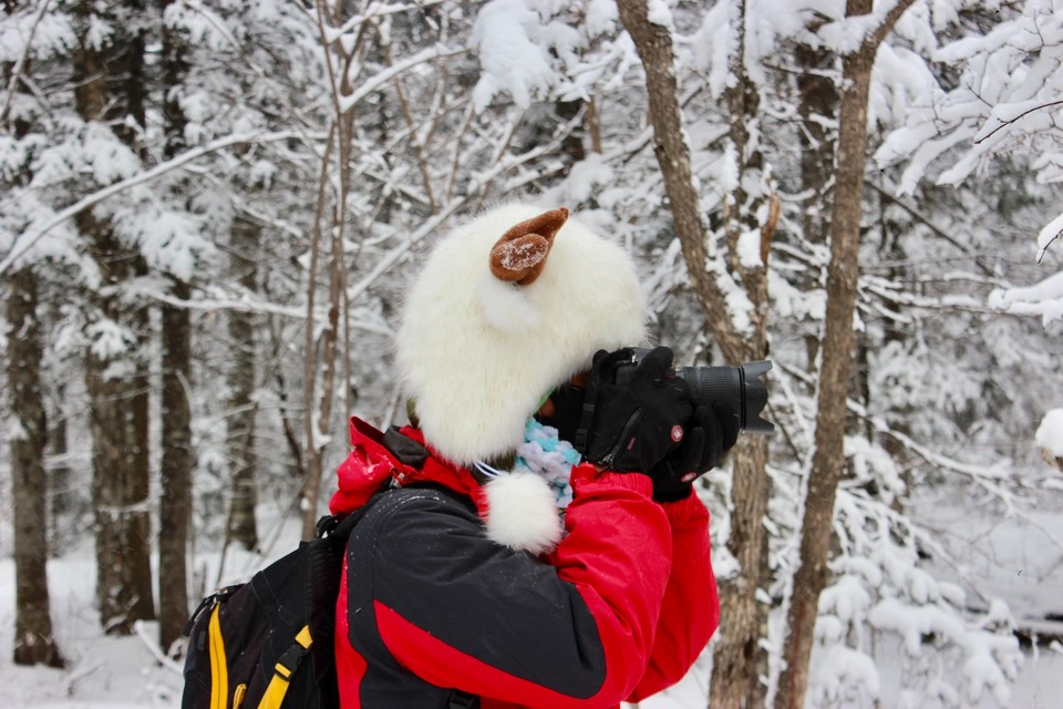 C2243AF3-725A-47C2-B8D0-744189F54745