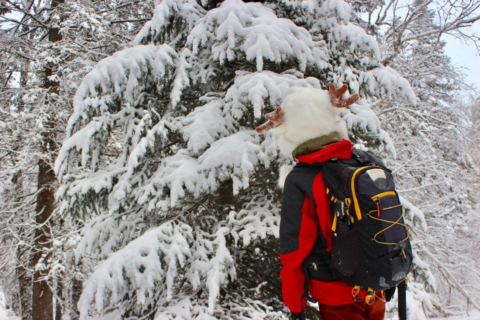 E812EBAD-1D67-43CE-AB28-B9DDD6F413B4