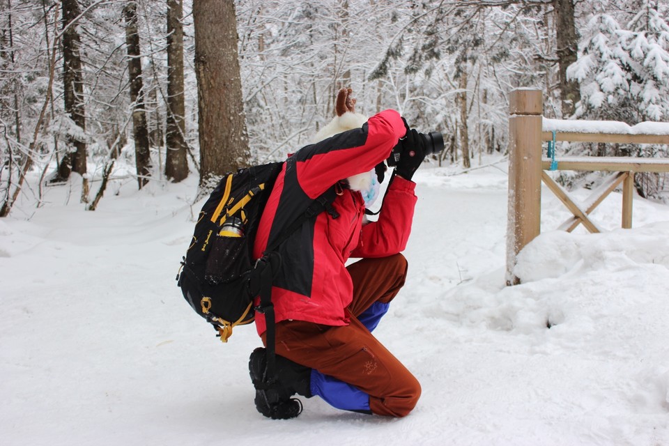 C995BE80-F55B-455D-8D71-2E7D46FE0954