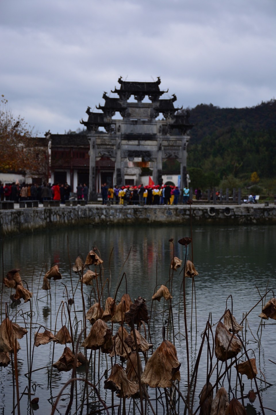 6FFCD486-A6CC-4BB7-8E1E-D8FF4632EC3A