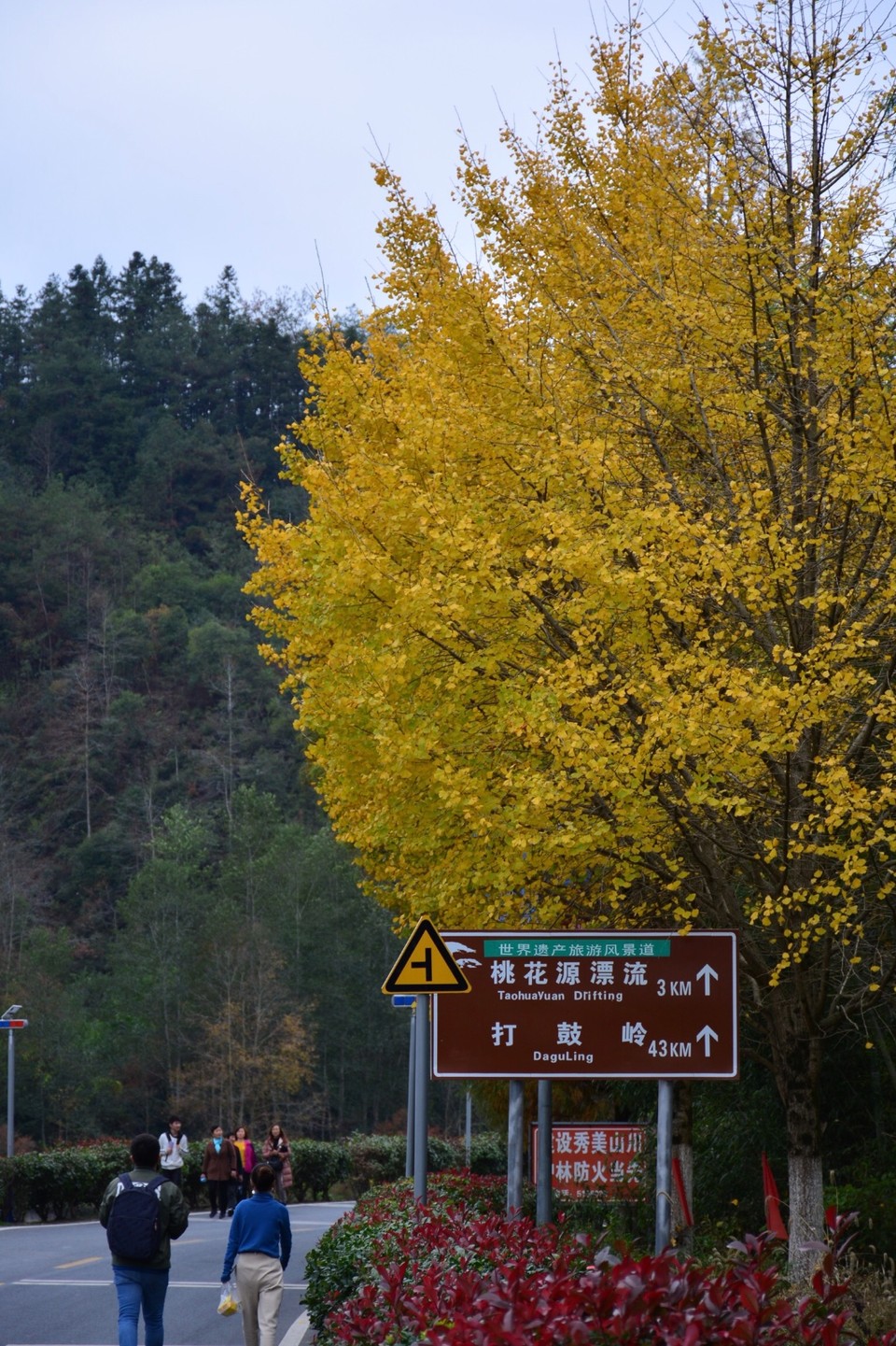 DAEBE3B7-A31D-4E22-9189-2EED71B03346