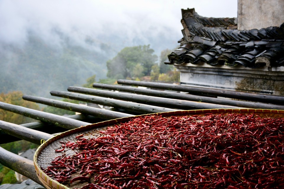 77B67631-C1BC-4132-B3F2-AE497F8BB7D1