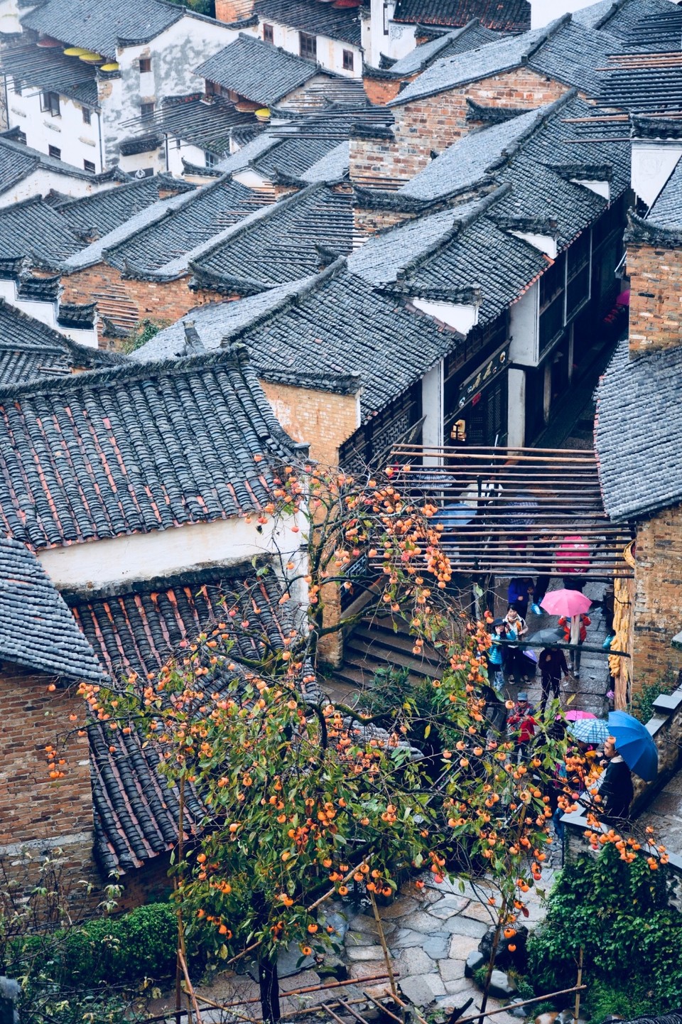 67F9D55A-0142-41CF-B864-42C3110FA7F6