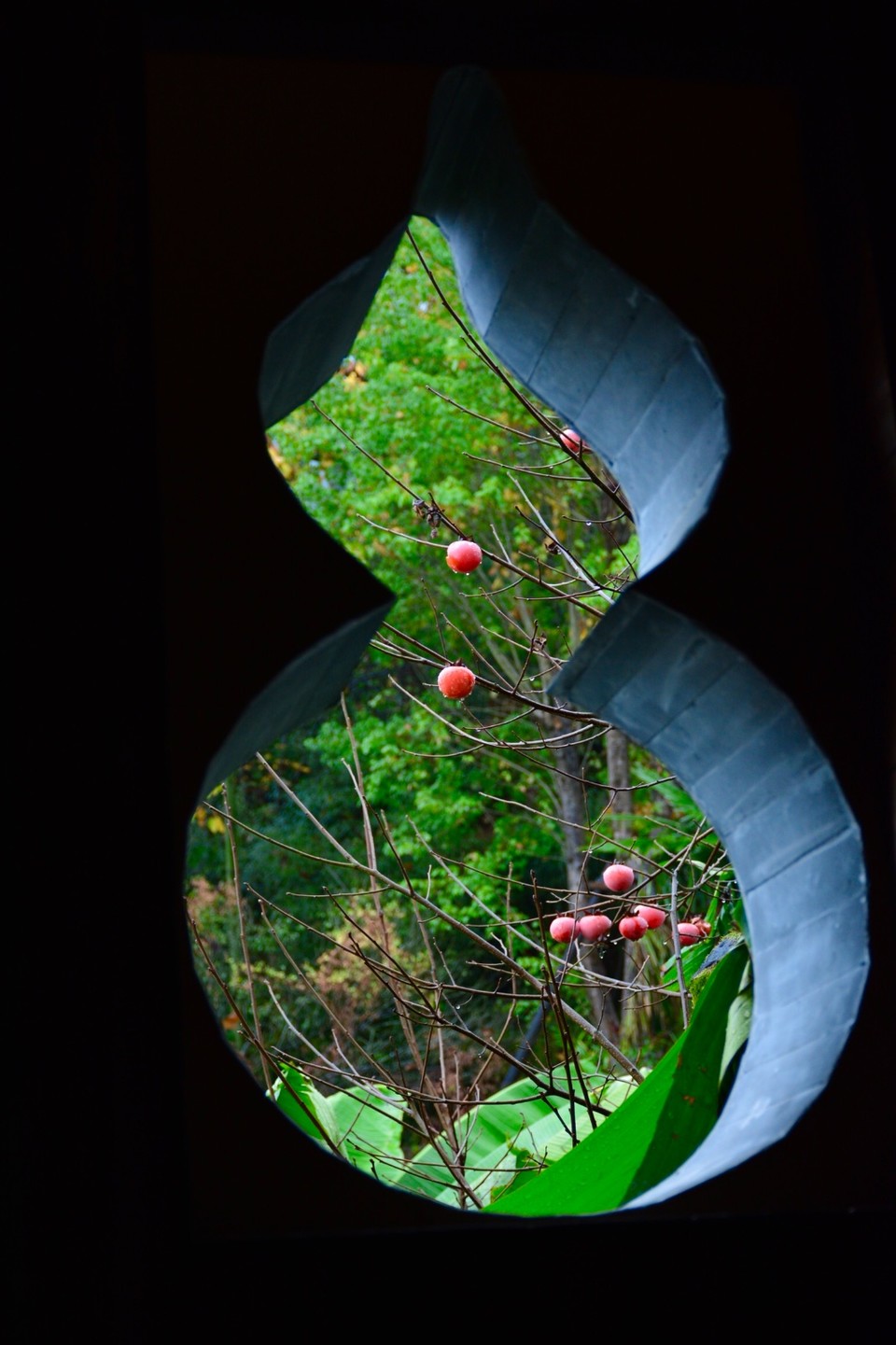 BD004A22-4F26-4A6A-8050-DE825B772711