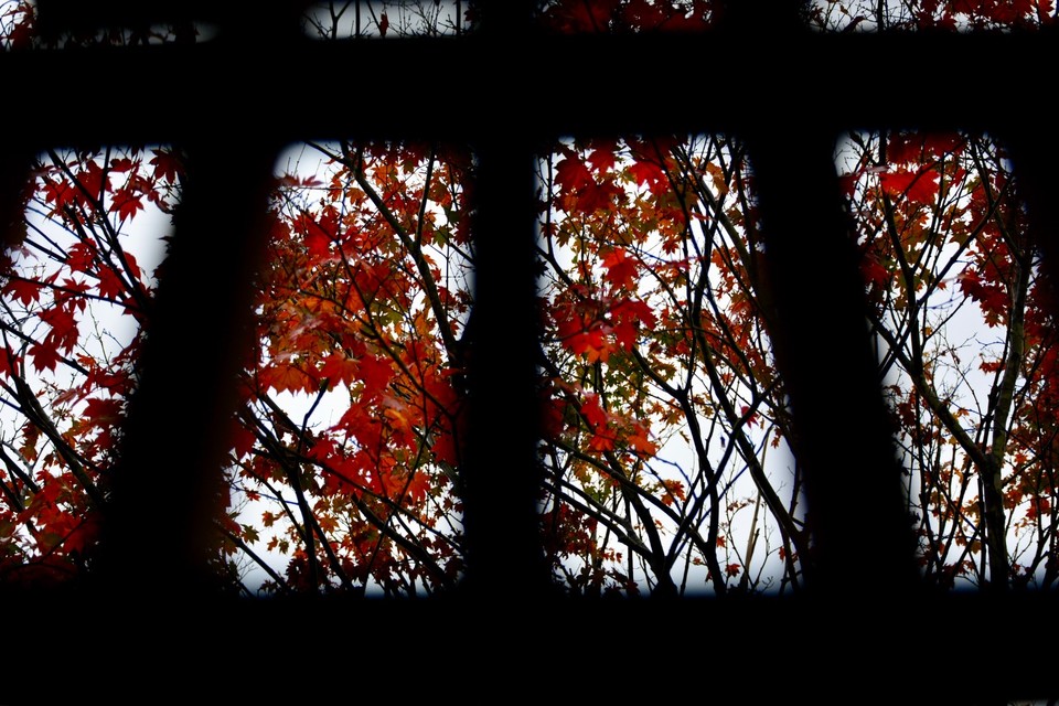 FB5CBE34-51F7-4EF8-A76C-C8A10C30BEA2