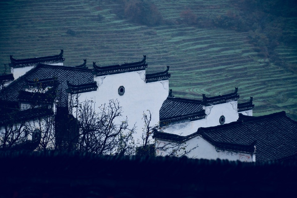 663B39B8-E39C-4CEB-BC78-BF2EE534F5E7