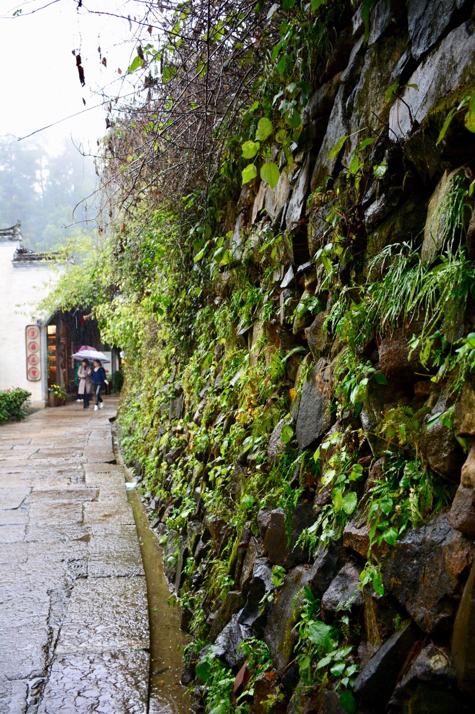 6F065C85-3617-45F8-AB70-0066A8F4E7FF