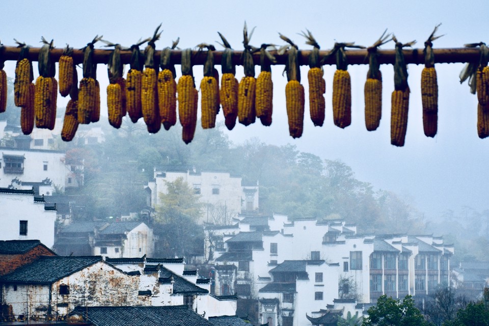 D0880E7E-A208-44A2-B31C-92EEBDE5D9CF