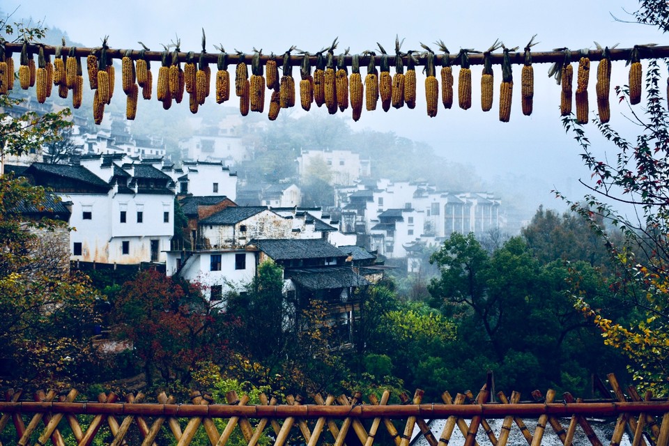 8FD5819F-6D0A-46C9-A88E-46A3CFAF455D