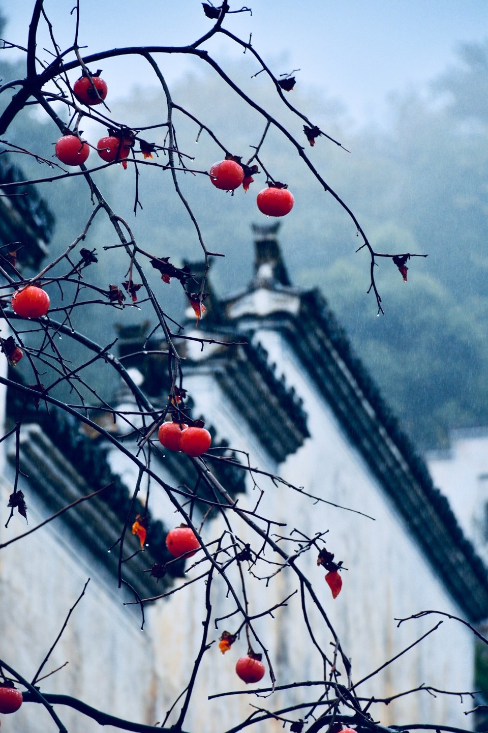 B95AE4F1-4505-4756-B48F-7860FA90D69B