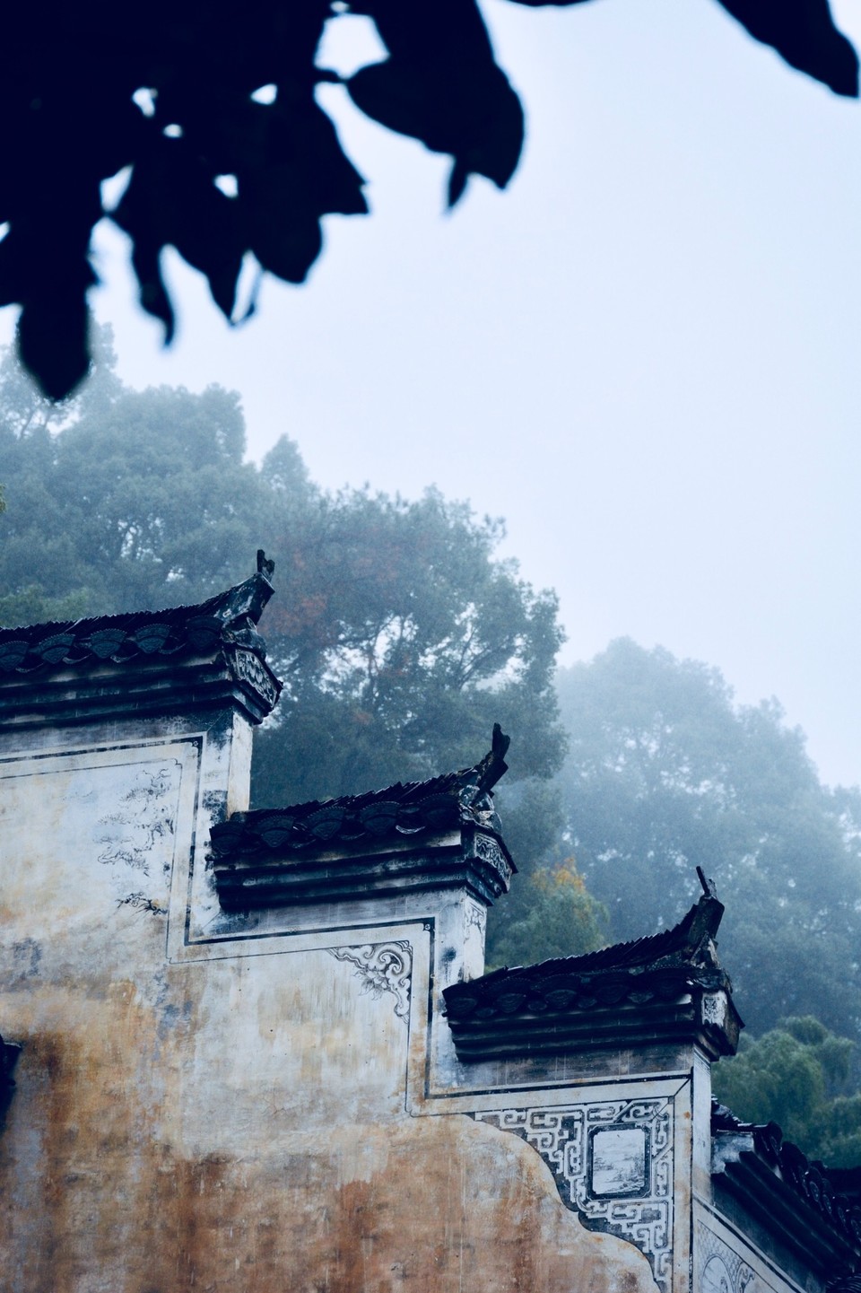 030701DA-0B90-4A47-A531-98AEAF86E1F8