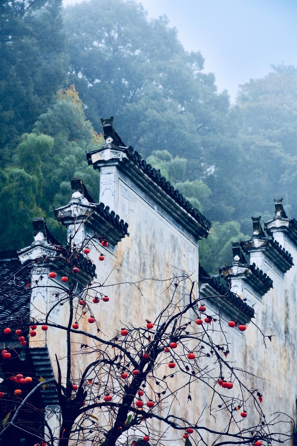 9F638A35-5502-4A08-874C-8D3873B7B956