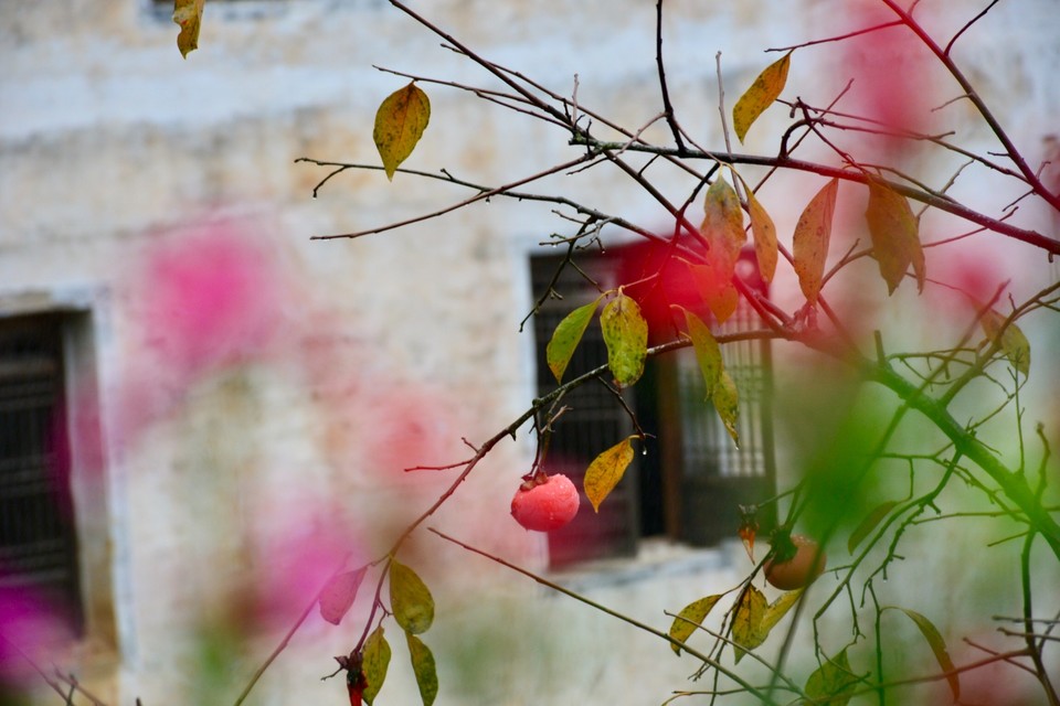 27245E14-841D-439F-85A0-DE6CC7E319E7