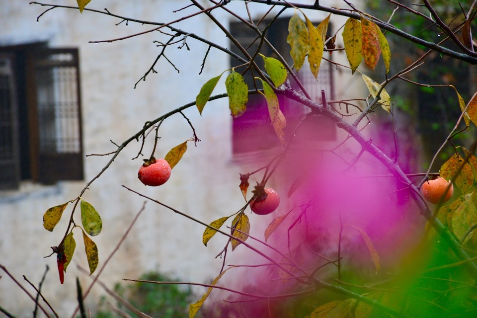 546C569D-BBF7-4967-BC45-0A043E8DFD77