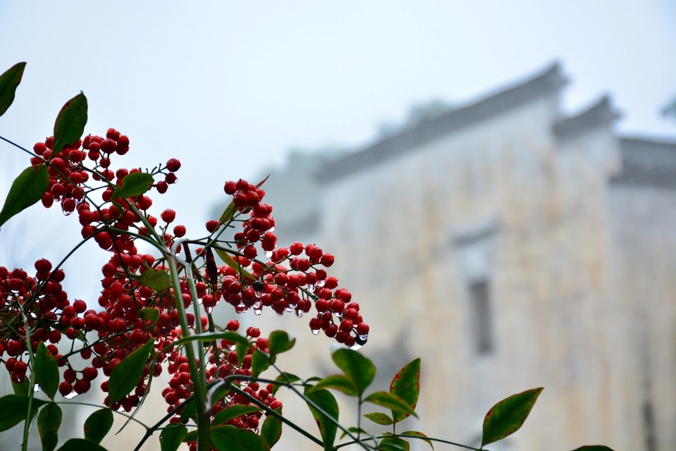 96413DBD-E16B-47A8-8A1F-E6FDA888EDE5