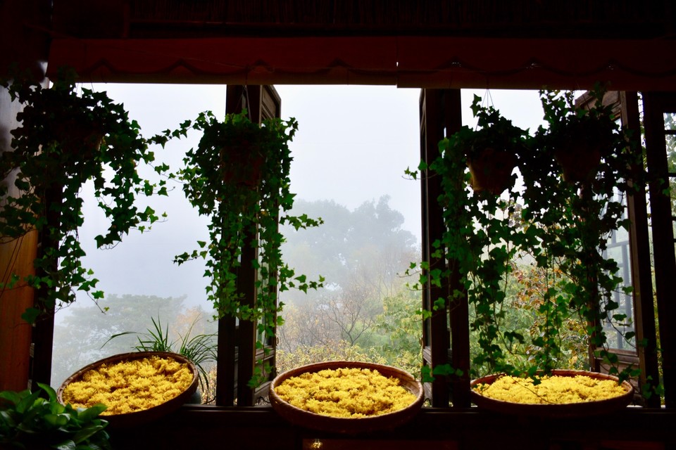 1BE453C3-D535-41F6-8709-6335E77A251C