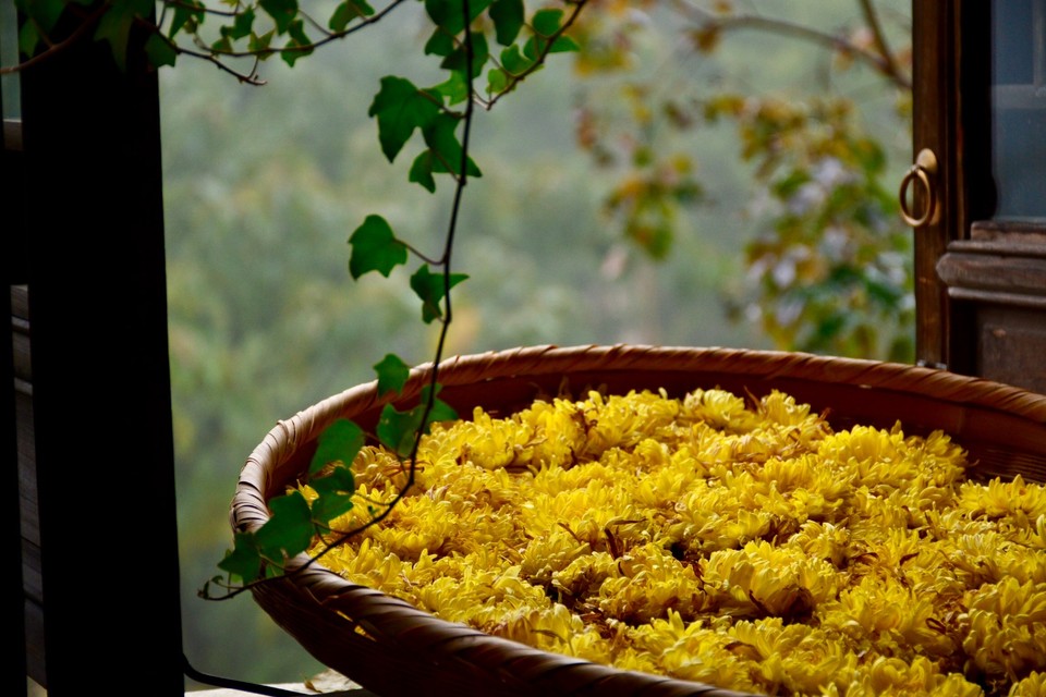 7D2BA51C-EB65-4368-A338-9B2D0EED6345