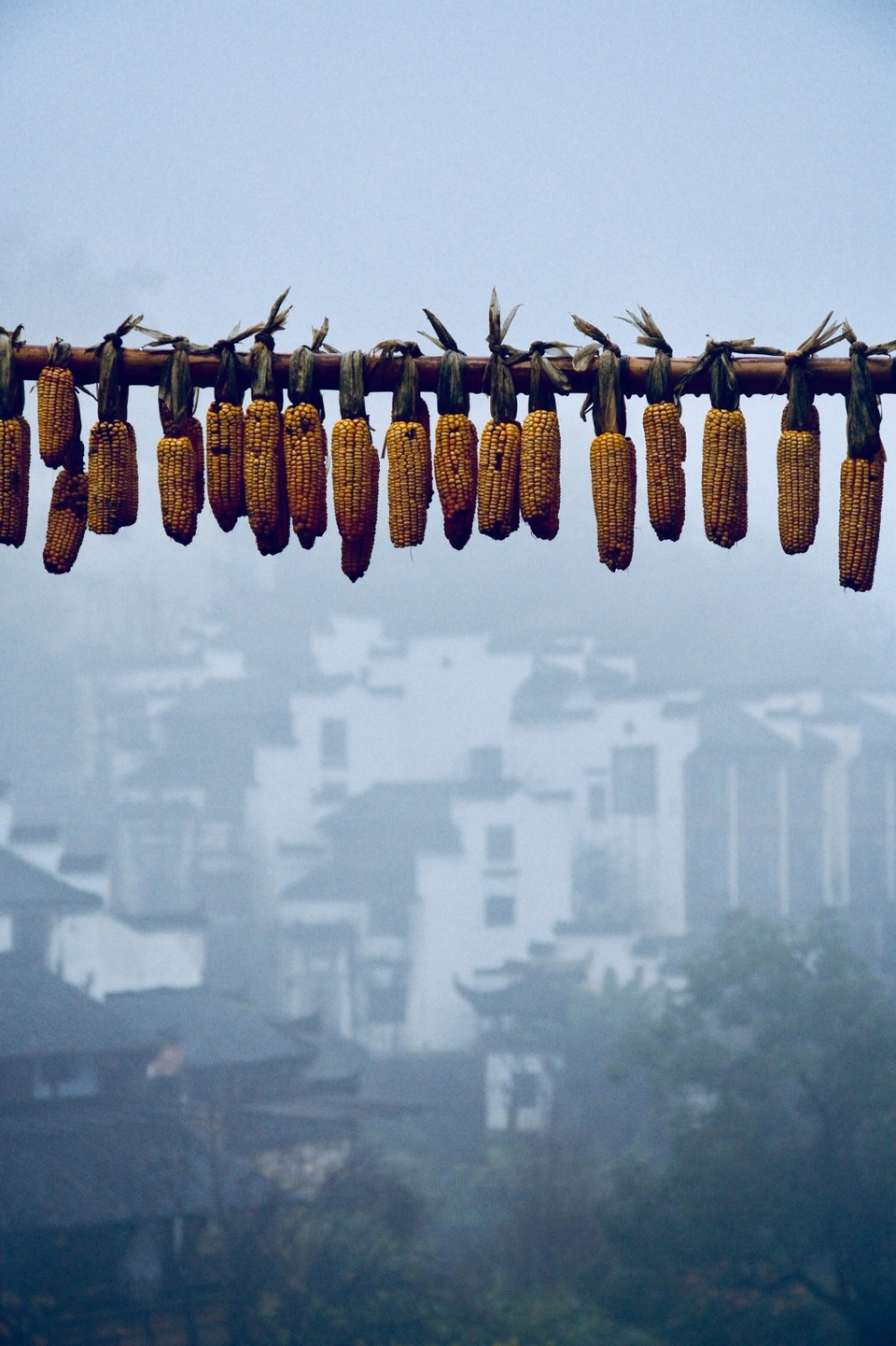 6BEAF4CA-31DA-479E-B5D8-D8DFAB3EF0A5