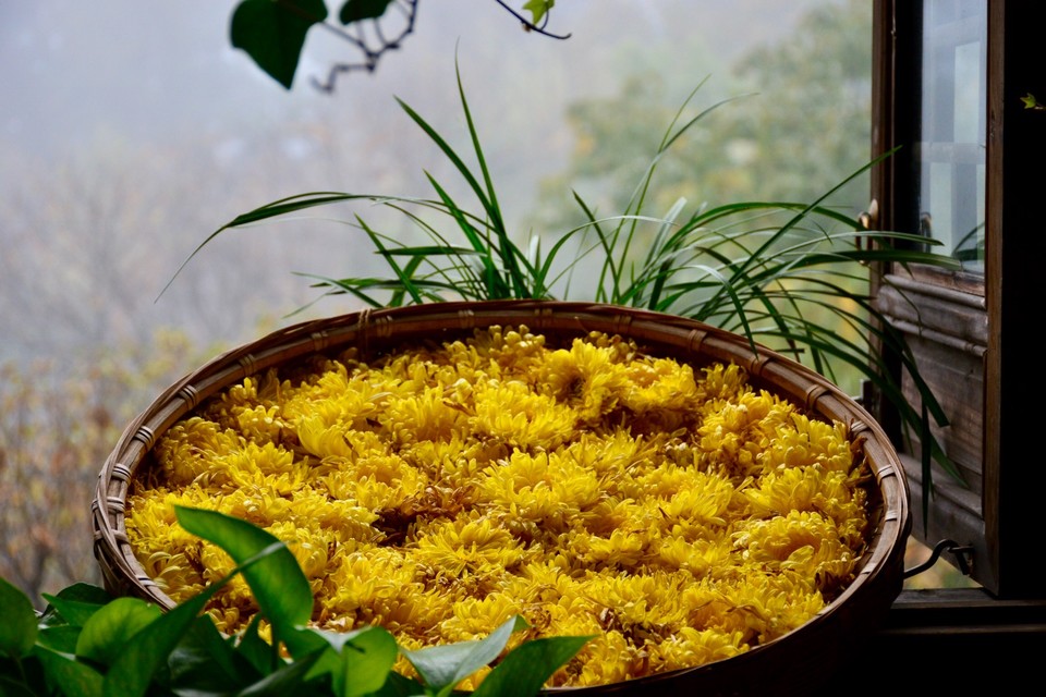 9703DC23-B259-4FAC-BB38-05873986DAAC