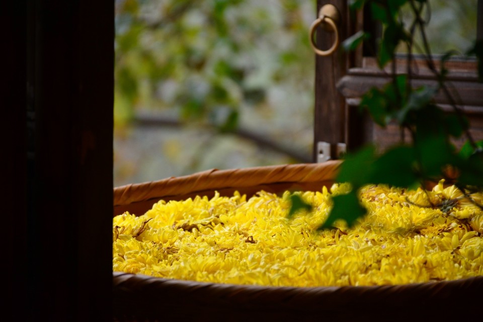 3C593422-2B14-478A-8535-32F7B584F9D6