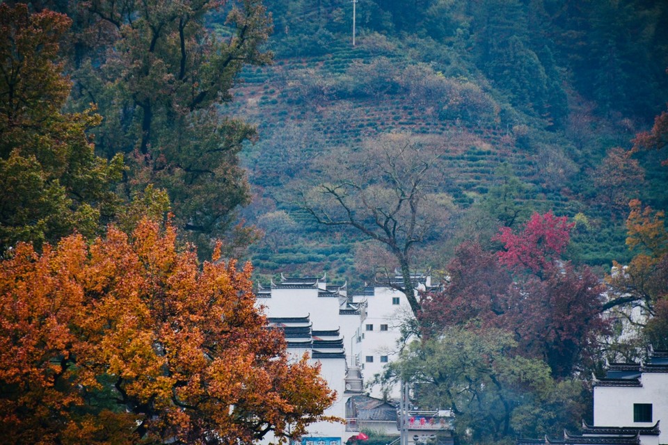 3C5524E1-9823-47C0-BF97-42ECAE257701