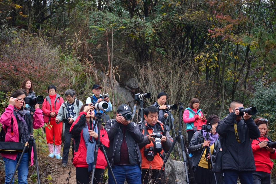 33A6580E-32D1-4DAD-A179-73EE5252CADF