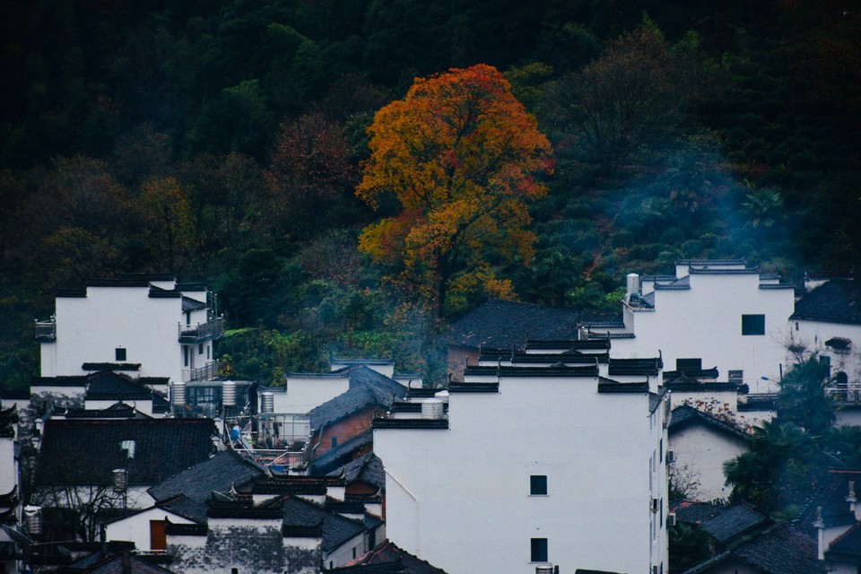 01EEF7AA-3327-4A5C-B135-AA52087ACB4A