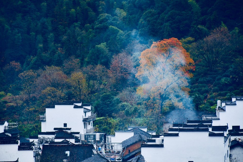 2B80D370-BE32-4119-88DE-44371BD1E00E