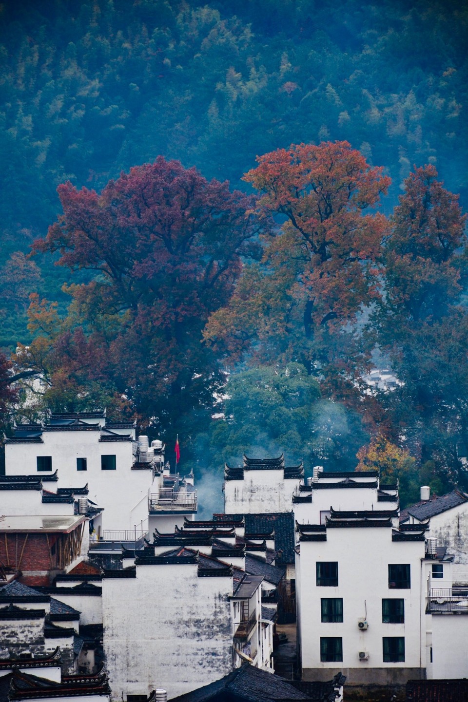 E64FDFB5-C12C-47CF-BCD7-B706BD871747