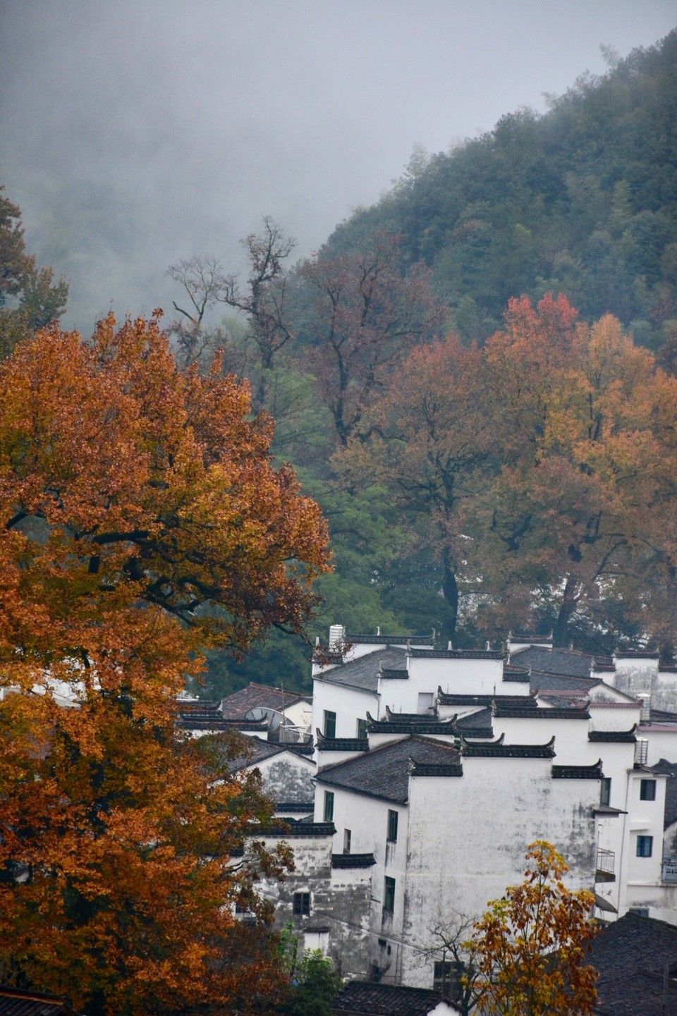 DE0CC7CF-D2BB-4EAF-8E0B-F0EC428ABA7A