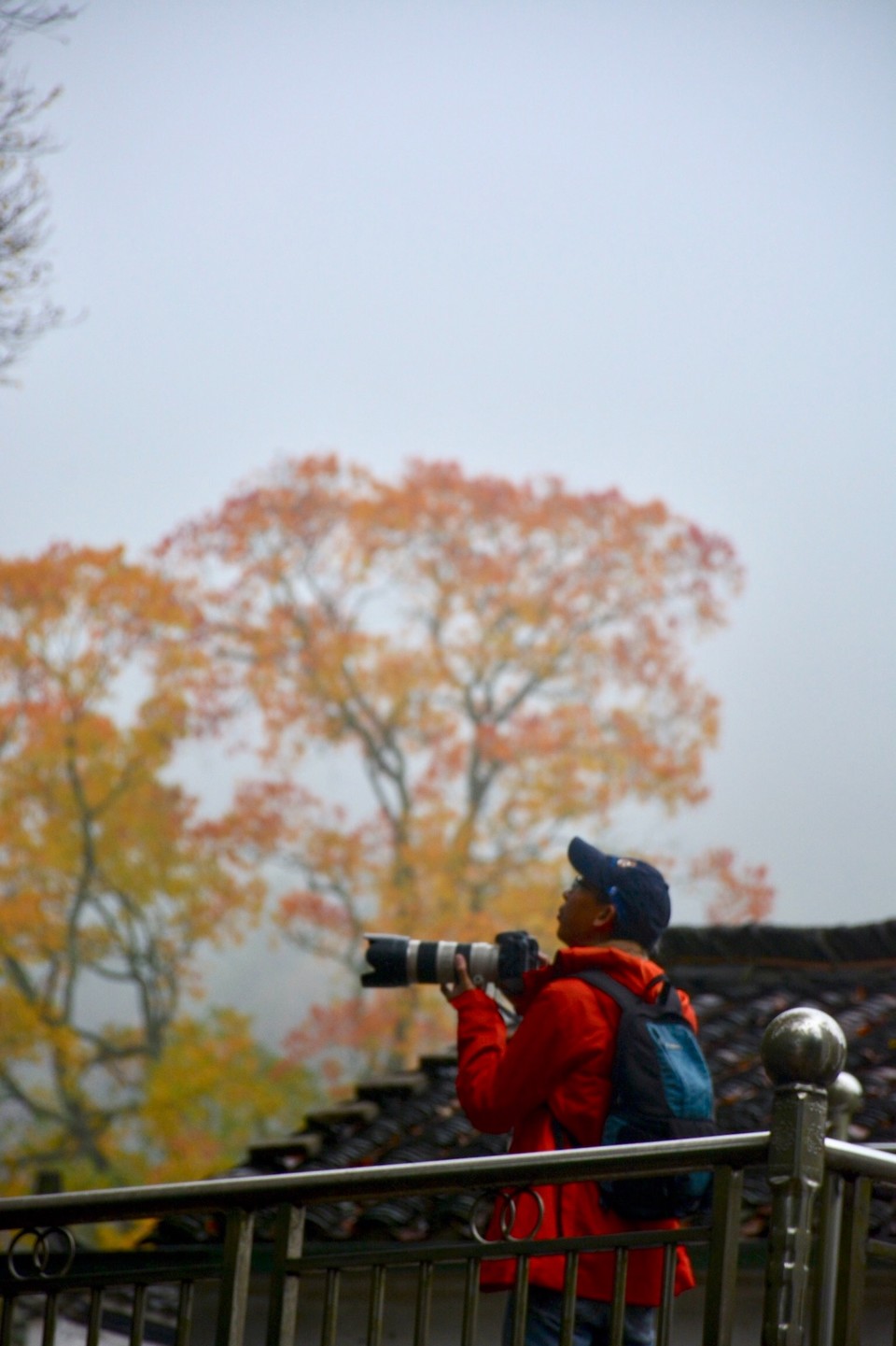 1B6EFD23-599F-4D07-8905-EE32B02A7E00