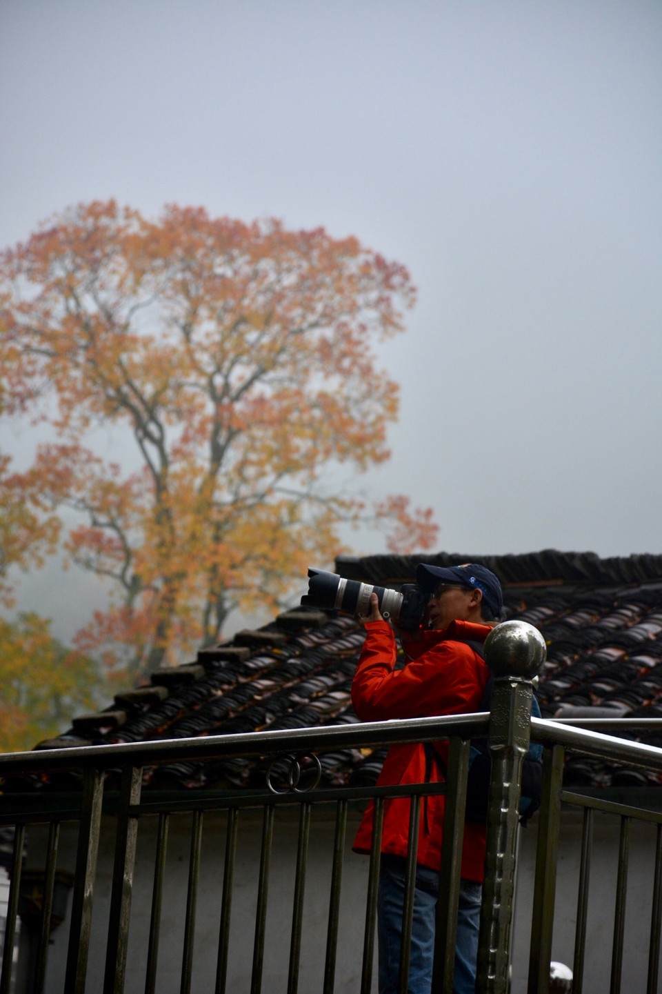 0658336B-CA87-4E9E-B8A1-290EF345A1E2