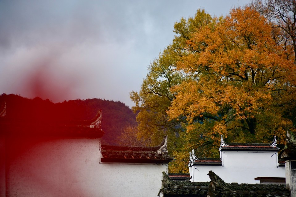 ACC9B9CC-632D-42C8-9BE7-CEACF83A7A8C