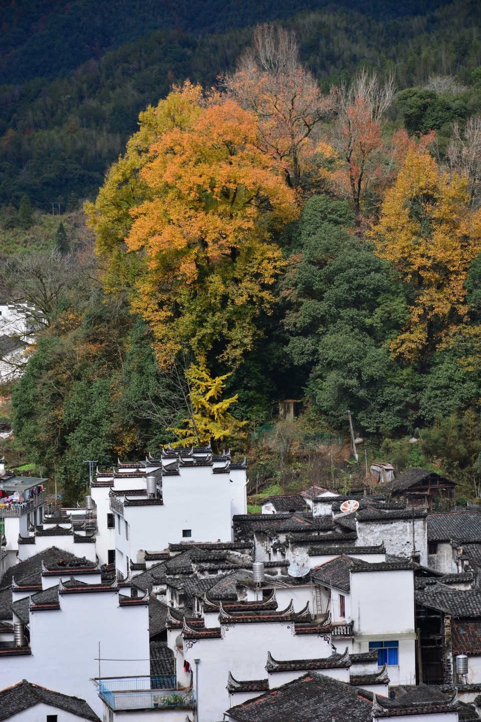 4C616835-0B7D-4E38-B2B9-16F483AEB55D