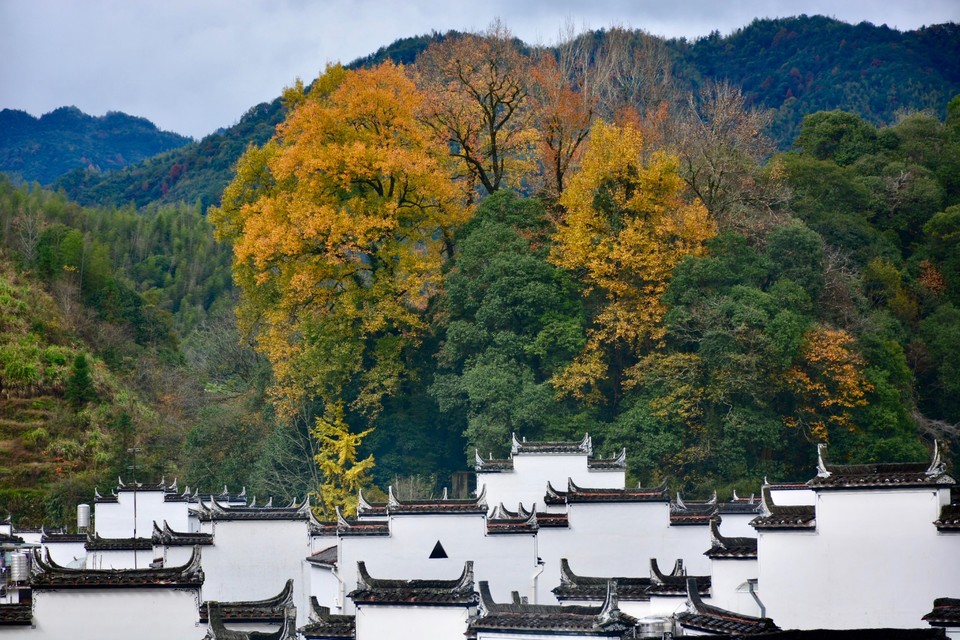 7D524EF2-C481-4397-A736-0B3E59D99696