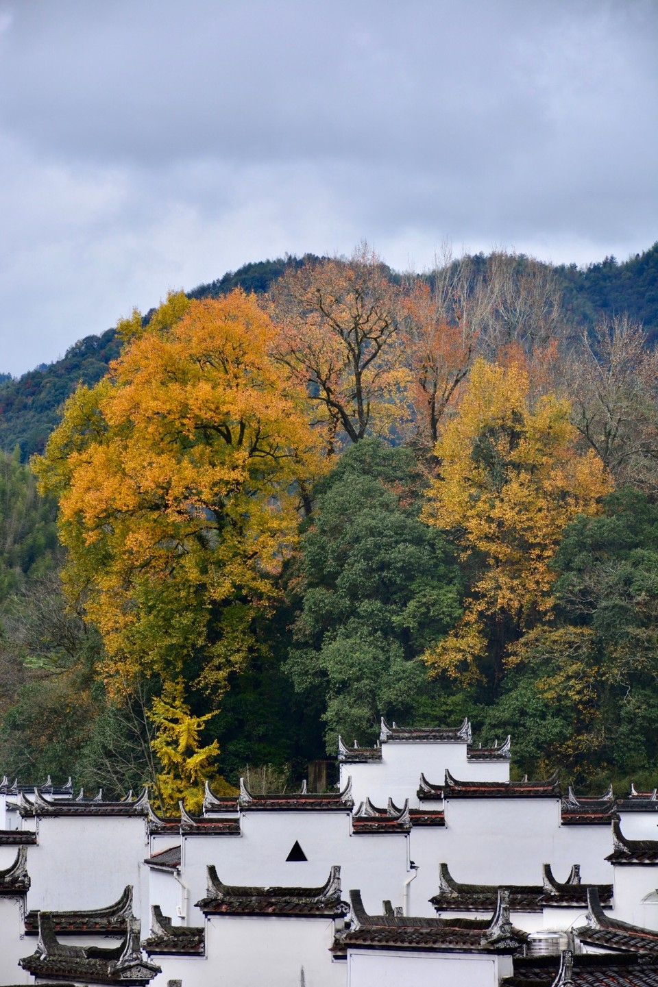 8CEBB738-37DE-4B7D-B652-348F3736F4A0