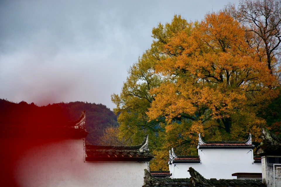 3738EE95-A0BC-4222-B71E-8487573CEF52