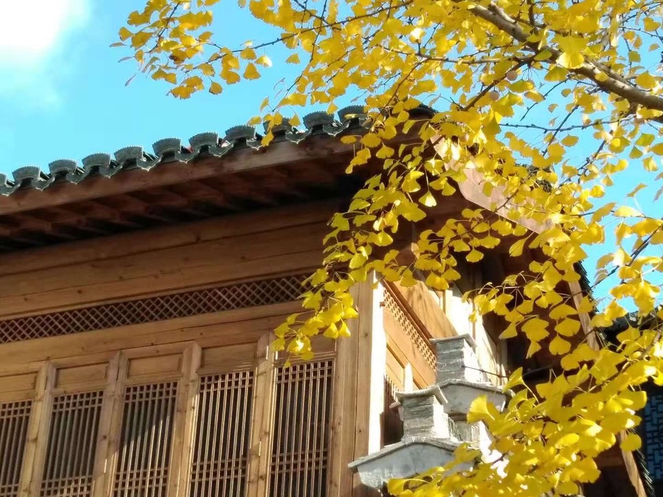 07FD3906-8133-4B4A-A228-EBF1D5F41F63