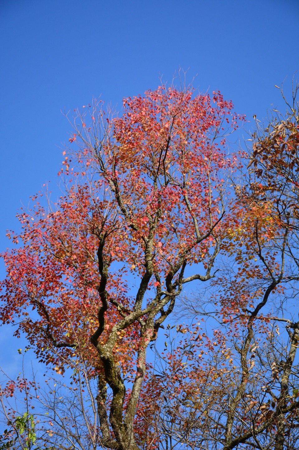 A4BF8D94-B690-426B-B1CB-E94064487DDB