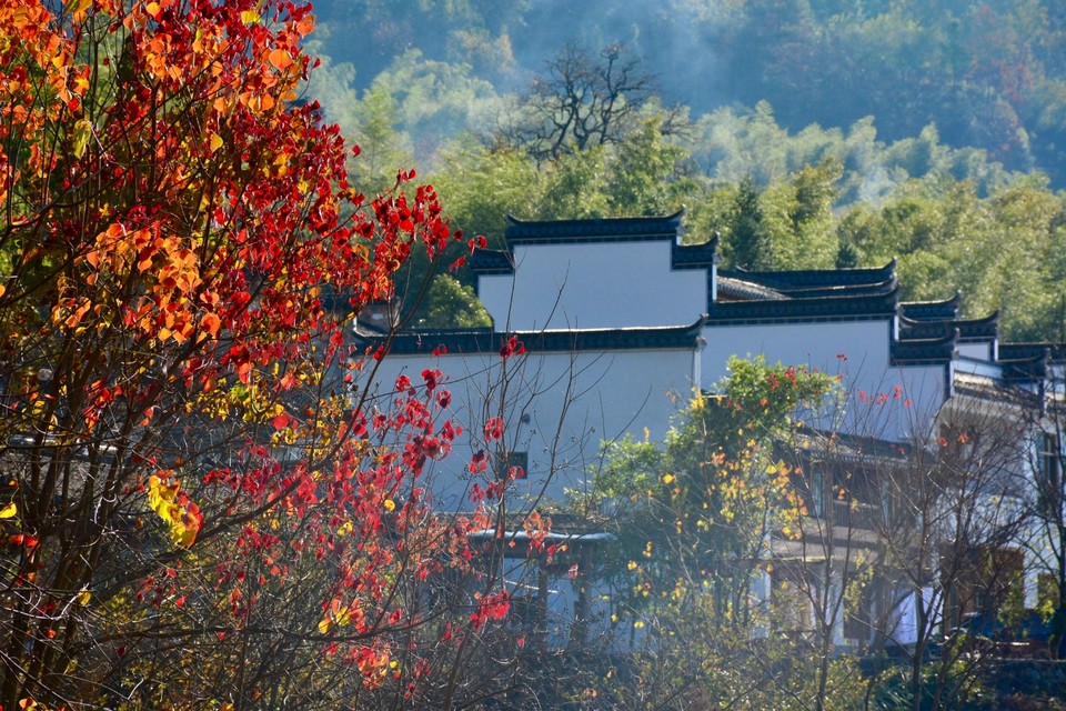 D9179771-7F5E-458B-85B8-7F2C35466554