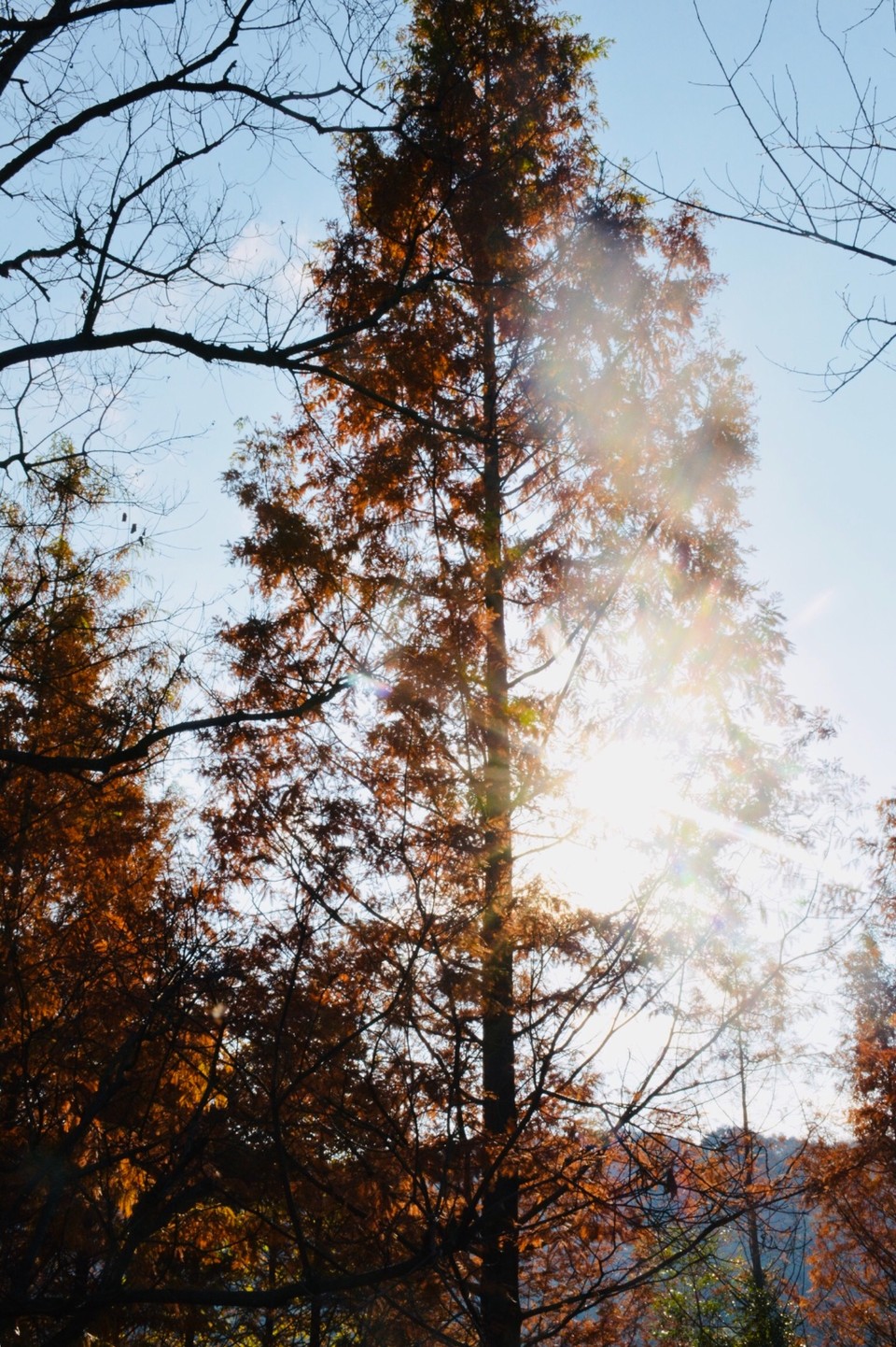 E593802E-1B8F-4574-80A5-13A80D696747