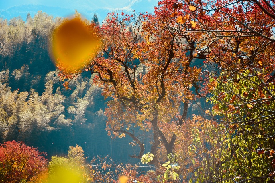 CE50CA84-A4C1-4F49-B185-1BF8B802E5EC