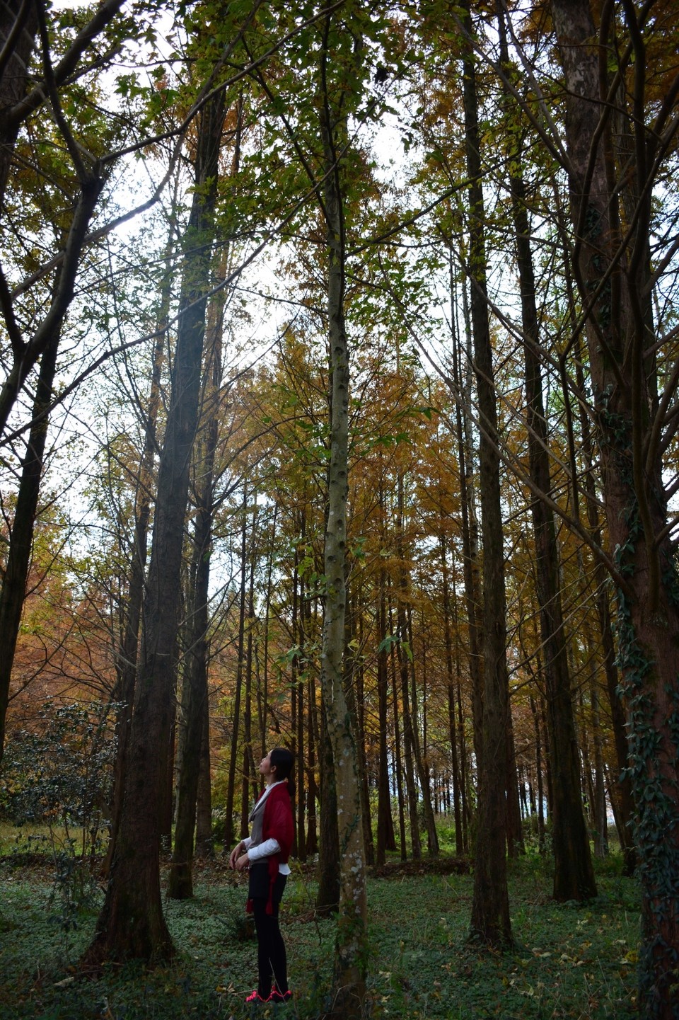 325EC03C-135C-48A3-B98F-43326350D007