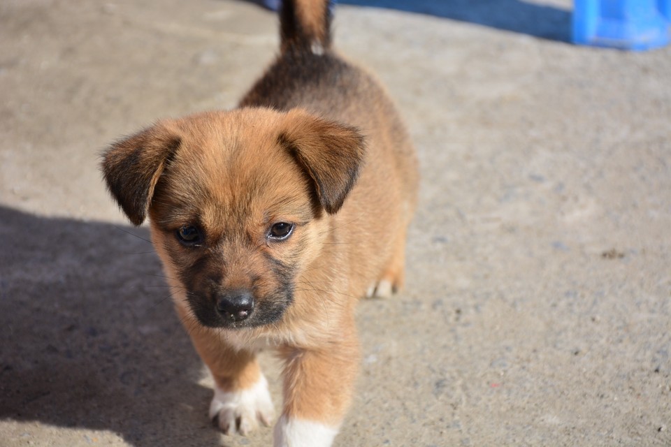 DA425C32-26F6-44AE-BCC8-7E3DB05D36F4