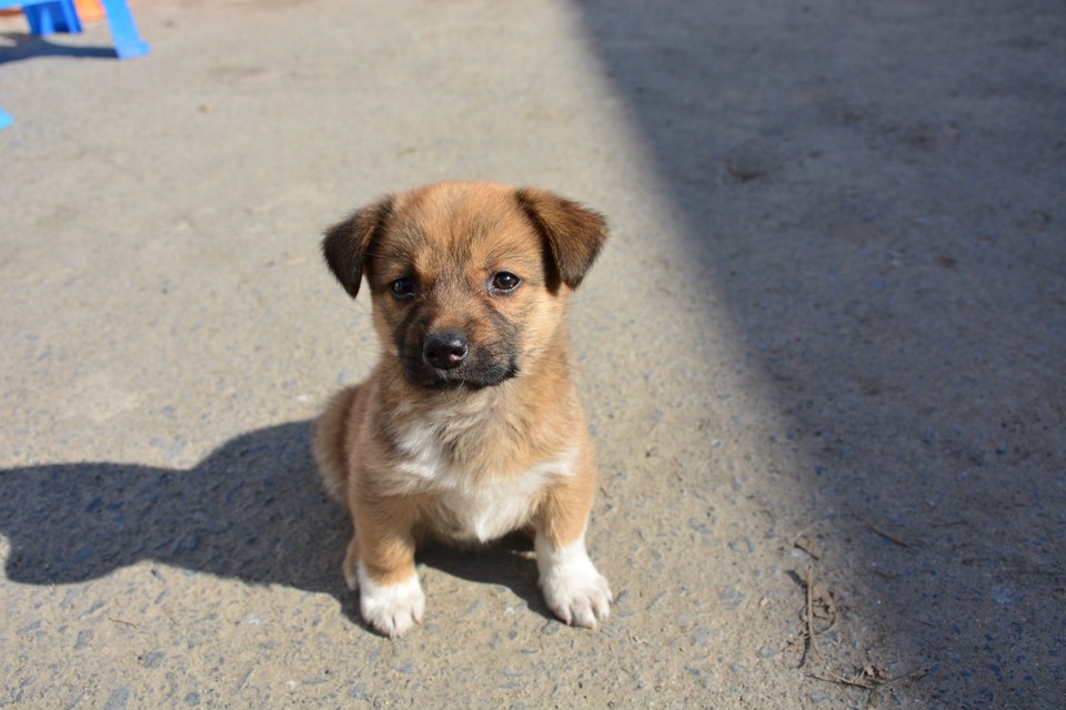 DA3A870B-98E8-4F6C-BD26-AE18D1ABBB43