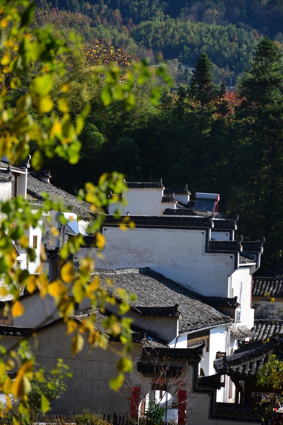 07EDDA73-B551-4160-AAA9-F1D795CA5CCE