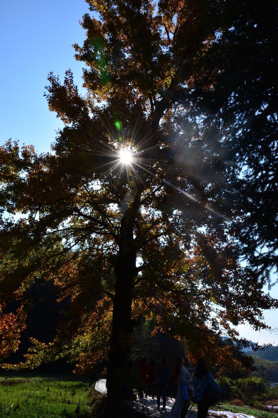 E38FF86A-5421-4063-8FE6-72A9F911D51D