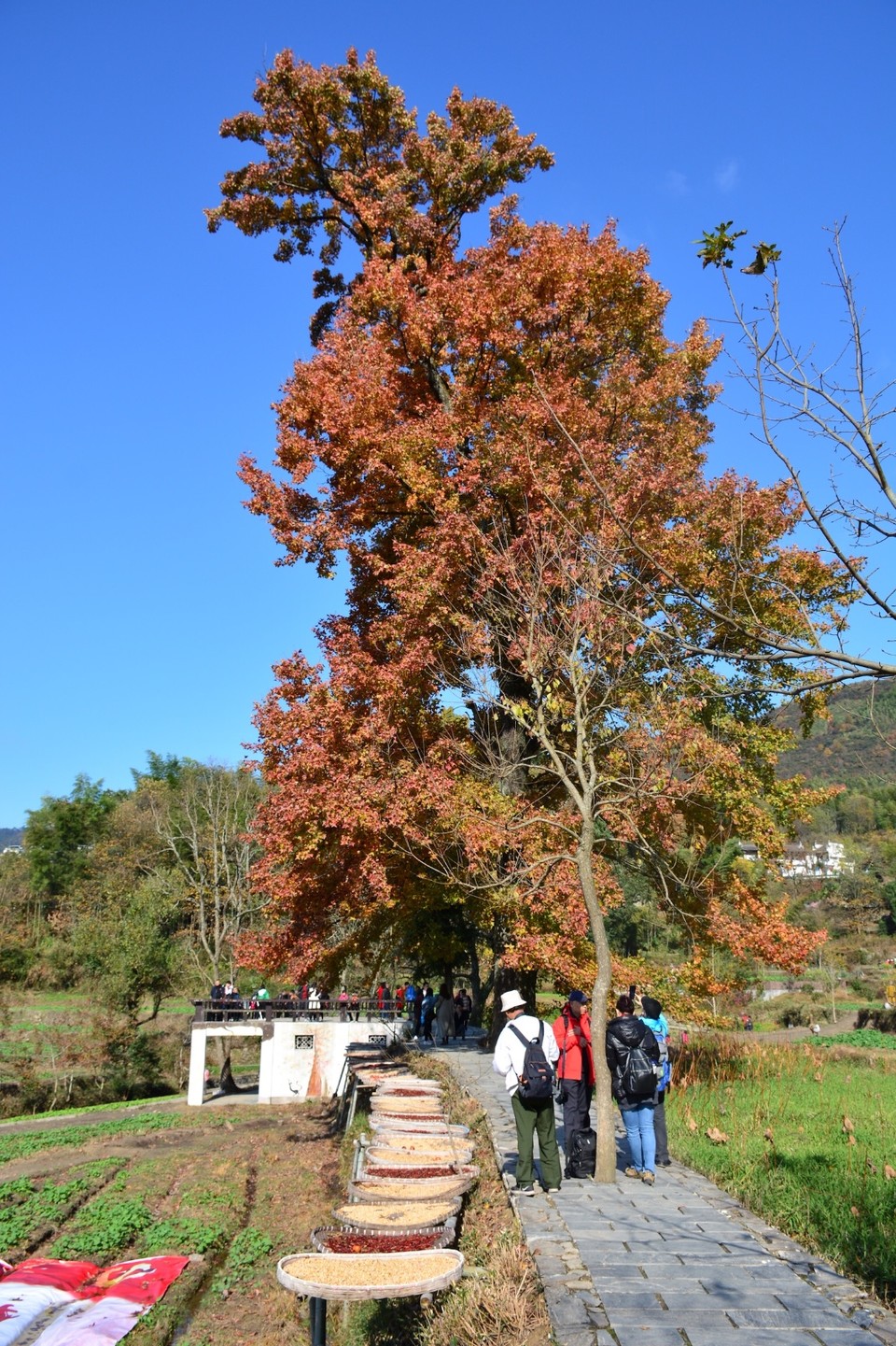 085E38CD-E746-40DC-8827-B2CA9FF05A20