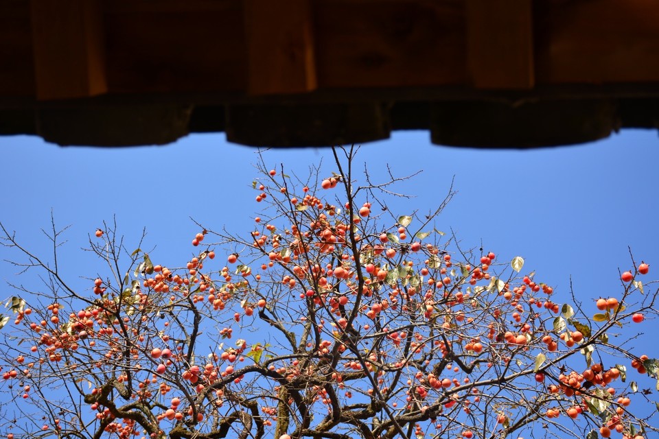 D3836CA8-F495-4784-A423-C2510C3B0EE3